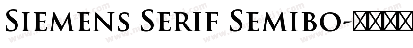 Siemens Serif Semibo字体转换